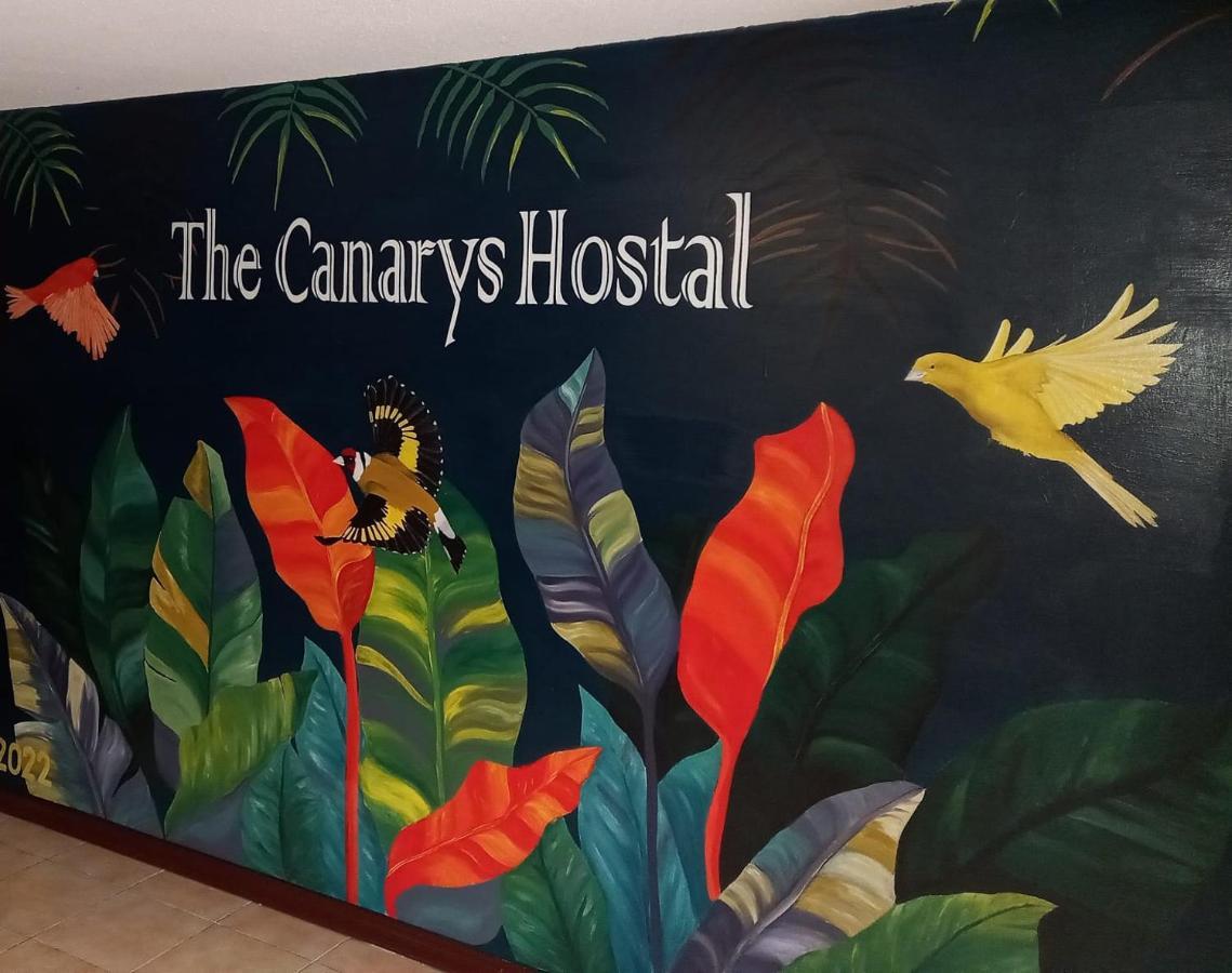 The Canarys Hostal Santa Rosa de Cabal Exteriér fotografie